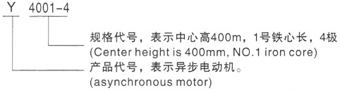 西安泰富西玛Y系列(H355-1000)高压YKS50010-12/450KW三相异步电机型号说明