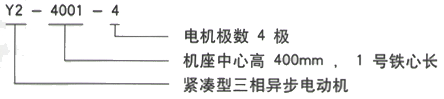 YR系列(H355-1000)高压YKS50010-12/450KW三相异步电机西安西玛电机型号说明